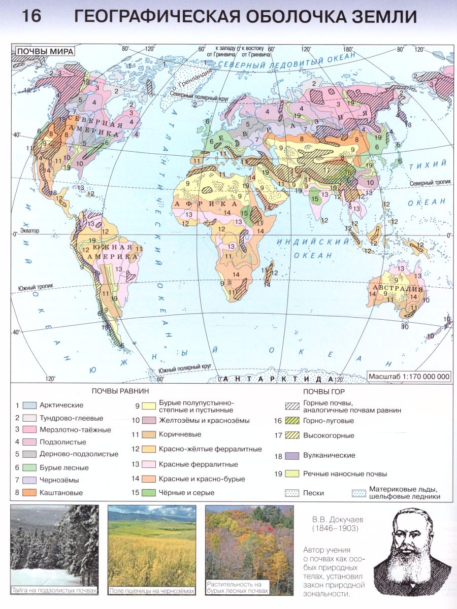 Карта почвы мира 7 класс