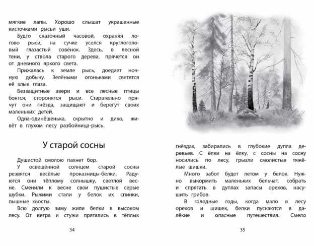Обложка Год в лесу. Рассказы о природе, издательство Махаон | купить в книжном магазине Рослит