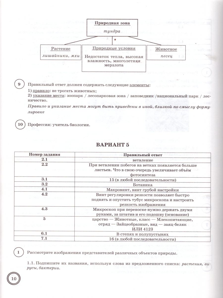 Биология 5 класс впр 5 вариантов. Биология ВПР 5 класс 2022 Банникова. ВПР 10 класс биология. ВПР 5 класс биология задания. ВПР по биологии 5 класс 2021.