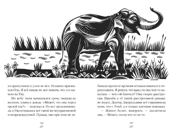 Обложка Мальчик из джунглей / Детский бестселлер Майкла Морпурго*, издательство Махаон | купить в книжном магазине Рослит