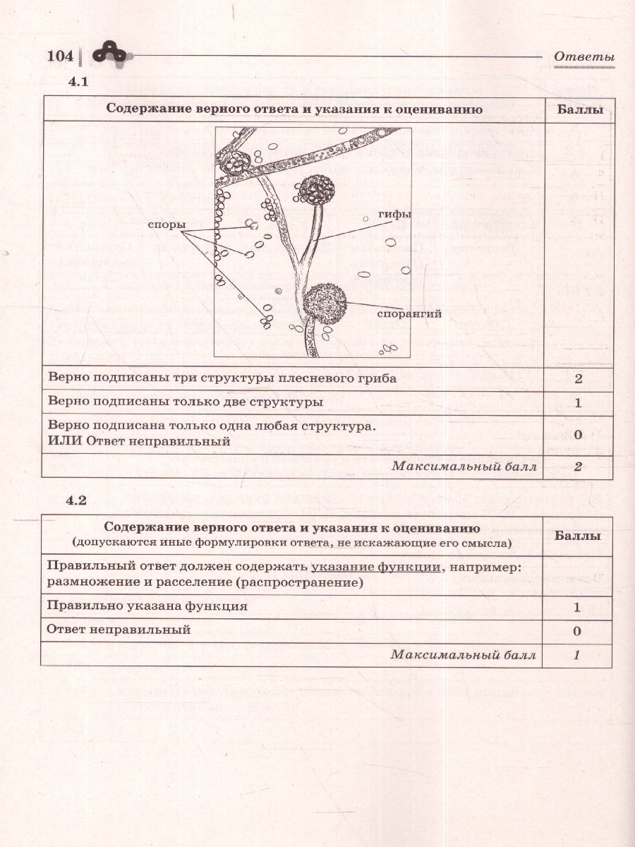 Обложка книги ВПР-2022. Биология 6 класс. 10 тренировочных вариантов. Концентрическая программа, Автор Кириленко А.А., издательство ЛЕГИОН | купить в книжном магазине Рослит