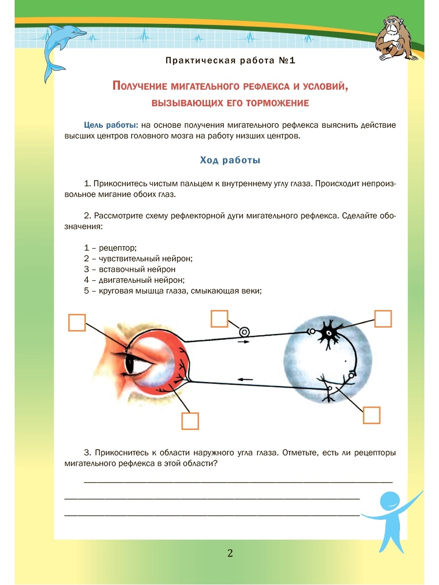 Обложка книги Лабораторный практикум. Биология 8 класс. Часть 2. Тетрадь для обучающихся, Автор Месникова И.А. Гренкова Л.Г., издательство Планета | купить в книжном магазине Рослит