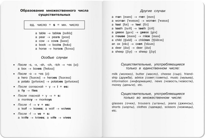 Обложка книги Тетрадь для записи английских слов в начальной школе "Панда", Автор , издательство Айрис | купить в книжном магазине Рослит